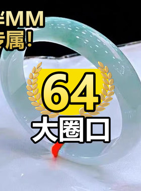 时玉 SHIYU大号翡翠64缅甸翡翠手镯67浅绿飘花大圈口65处理玉镯子