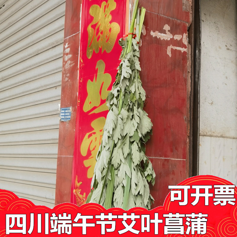 新鲜菖蒲艾叶家泡澡包邮