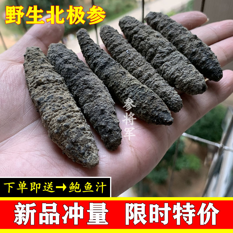 野生加拿大淡干海参辽参500g