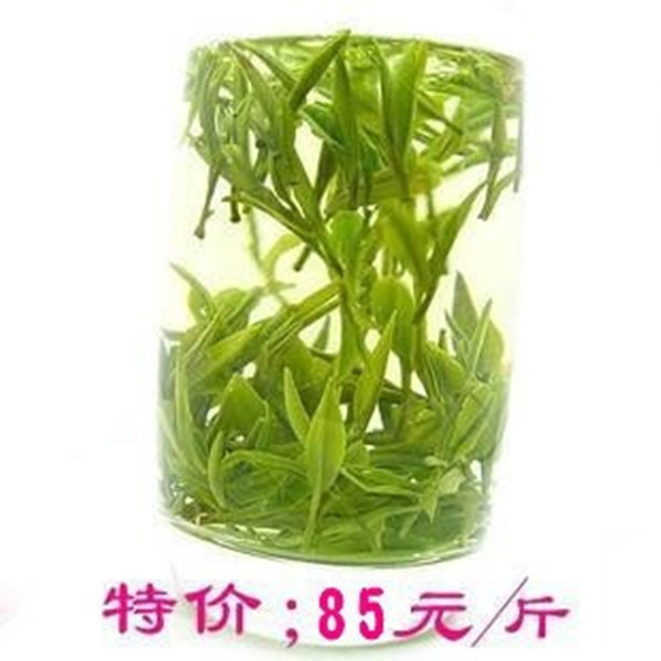 谷雨濃香型特價促銷黃山毛峰茶葉