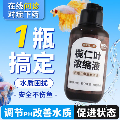 榄仁叶浓缩液斗鱼药泰国斗鱼