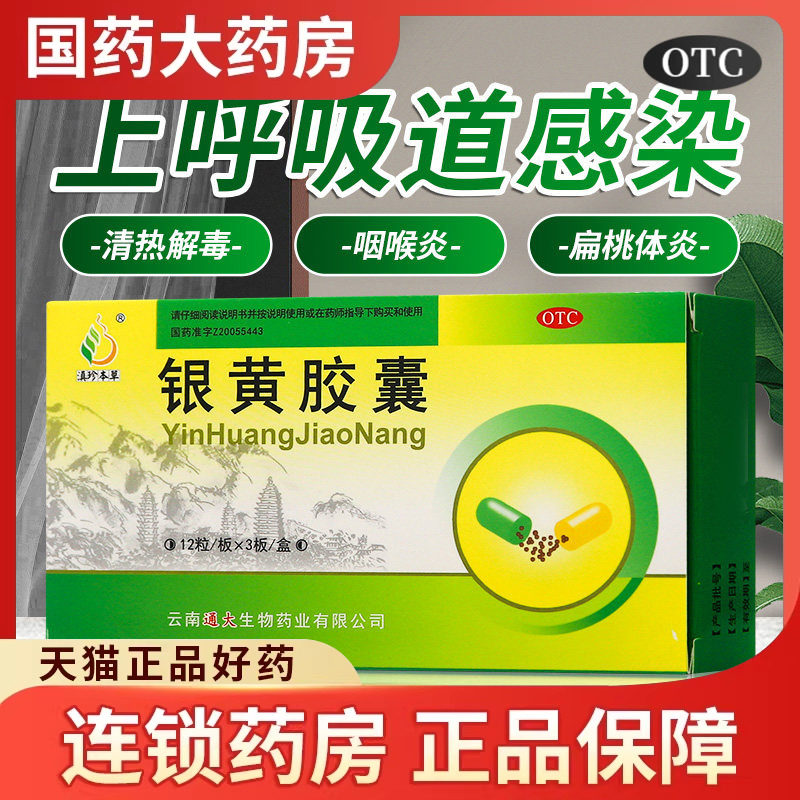 滇珍本草银黄胶囊36粒清热解毒急慢性扁桃体炎咽喉炎上呼吸道感染
