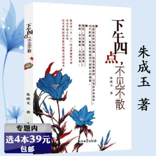 不见不散 下午四点 朱成玉散文随笔现当代文学作品集初高中学生语文阅读书籍 选4本39元