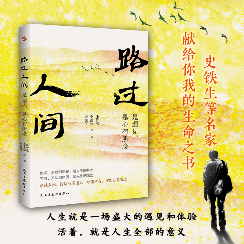 路过人间：是遇见，是心有所念 史铁生季羡林汪曾祺丰子恺 著书籍