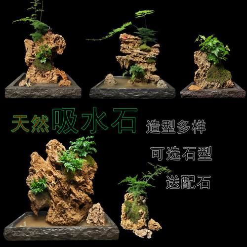 上水石吸水石假山玄武石盆景