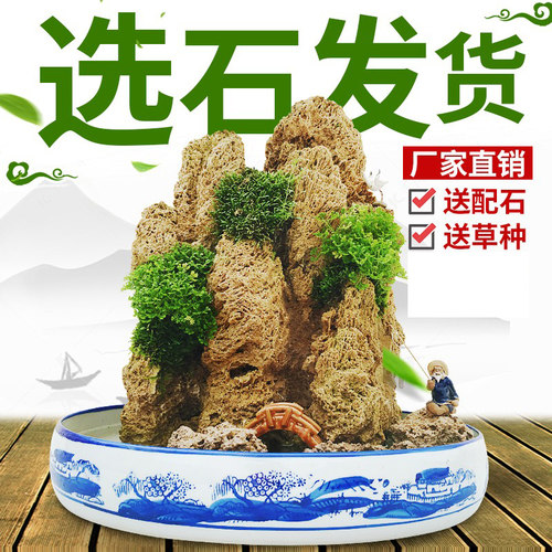 可定做吸水石盆景上水石天然原石