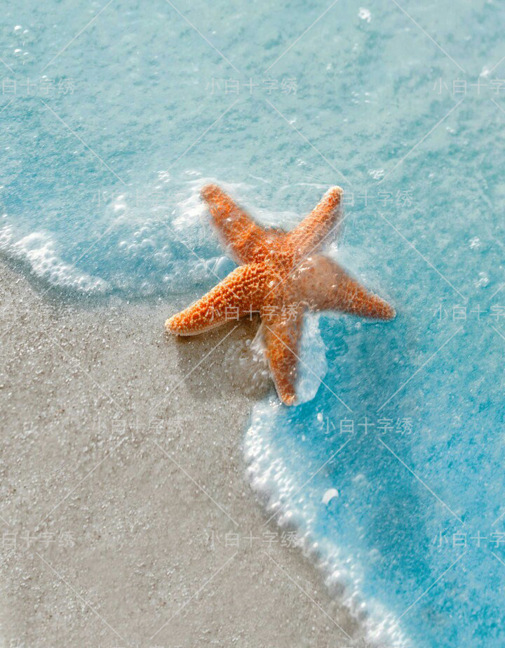 海星在海边 新款十字绣套件 风景 客厅卧室 精准印花