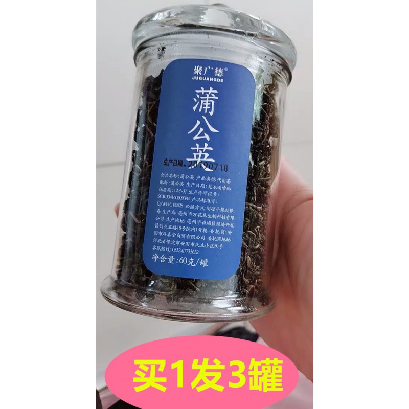 新货6聚广德蒲公英茶 野生天然正品特级茶叶 婆婆丁蒲公英带根干