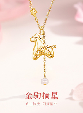 飞马摘星S925纯银项链