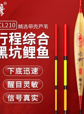 达摩浮漂官方旗舰店芦苇鲫鱼竞技池钓黑坑鲤鱼高灵敏鱼漂CL210