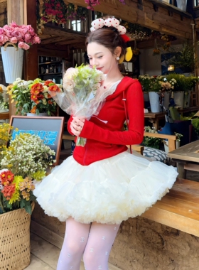 亲子装母女网红炸街tutu裙女孩蓬蓬网纱裙成人大人洋气百搭蛋糕裙