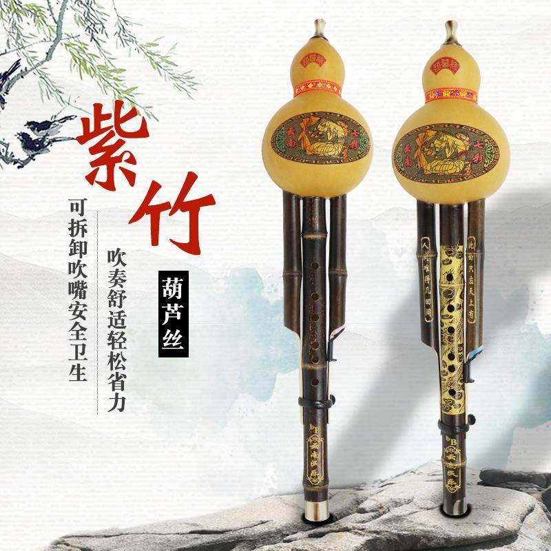 葫芦器成人初学者c调降b调儿童入门中小学生零基础凤尾胡芦丝