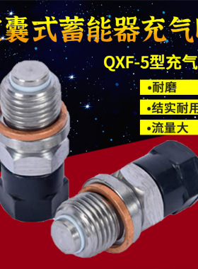 NXQA/QXF囊式蓄能器专用充气阀气嘴 气门芯 折弯机 剪板机 泵车