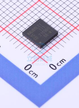 音频功率放大器 NAU88L21YG QFN-32 NUVOTON(新唐)