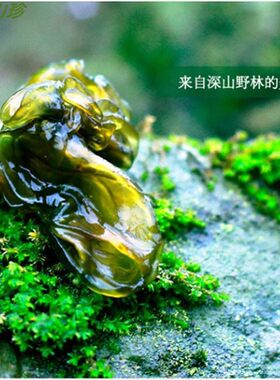 纯野生零添加地木耳