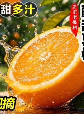 老树脐橙夏橙湖北秭归26年新鲜当季水果薄皮手剥榨汁橙子现摘酸甜