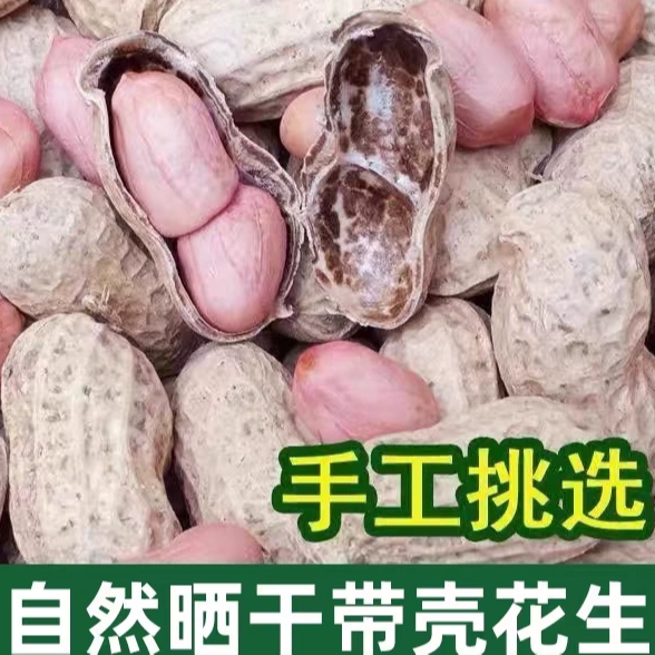 炒货新款上市带壳小吃高产种生干花生小花生仁粉皮养胃养生生花生