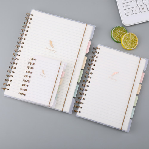 可爱兔PP分类线圈绑带本透明磨砂封皮加厚带松紧绑带分页螺旋笔记