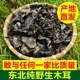 东北野生木耳东北木耳干货东北特产优质黑龙江纯野生伊春农家天然