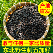 东北野生刺五加籽中药材刺五加子东北刺五加籽刺五加果250g 包邮