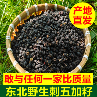 东北野生刺五加籽中药材刺五加子东北刺五加籽刺五加果250g 包邮