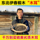 东北木耳干货东北特产木耳椴树椴木小碗耳优质凉拌专用厚肉小碗小