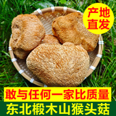 东北猴头菇干货中药材干猴头菇正宗猴头菇干黑龙江椴木蘑菇干货