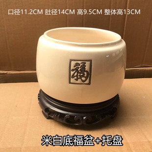 福字小盆景花盆桌面陶瓷高档亚光北欧简约国风室内文竹盆栽兰花盆