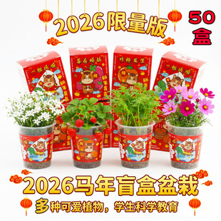 新年礼物创意小礼品儿童种植盲盒幼儿园全班马年伴手礼小学生奖品