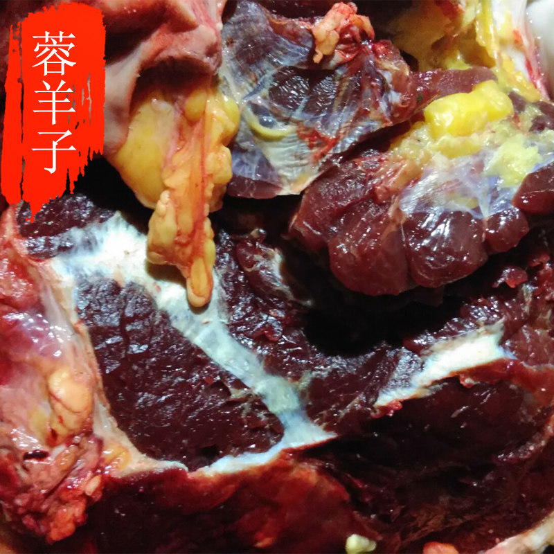 蓉羊子生鲜农家新品生态高原放养新鲜现宰阿坝牦牛腿肉烤牛肉串