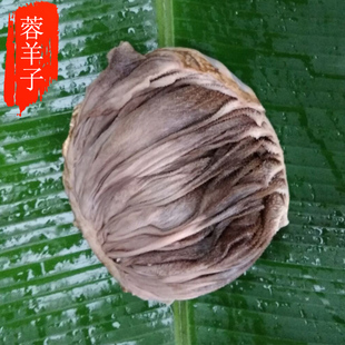 蓉羊子生鲜农家新品高原放养新鲜现宰牛小肚牦牛百页肚牛杂火锅