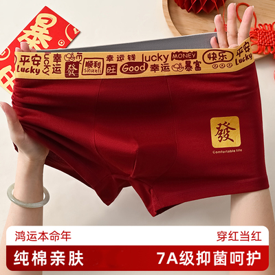 本命年纯棉男士内裤红色2026马年平角裤新年好运休闲短裤四角裤头