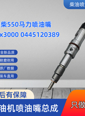 0445120389喷油嘴潍柴WP13 550马力国五德龙X3000货车喷油嘴总成