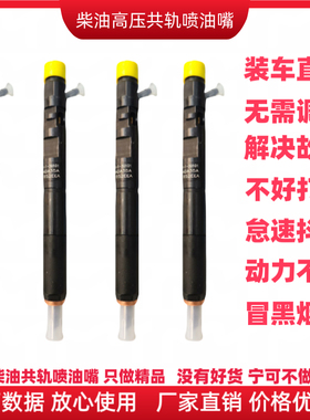 EJBR03701D华泰特拉卡现代起亚柴油2.5t喷油嘴2901D德尔福喷油嘴