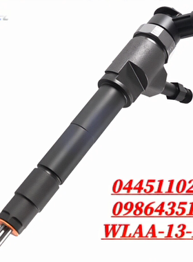 0445110250电喷喷油器共轨 喷油嘴总成0445110 250