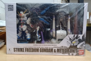 SDGO  自由 完美强袭 流星號 沒 飞翼独角兽报丧女妖成品可动模型