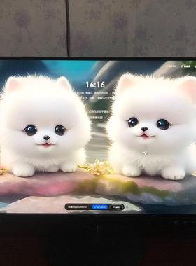 L12364A 23英寸TN面板显示器 成色如图