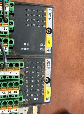 巴赫曼BACHMANN DI232、DO216模块 拆机