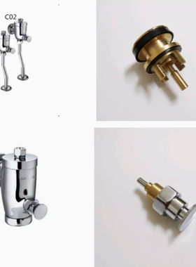 适配箭牌冲水阀蹲便器冲水器 C01/C02/阀芯推杆脚踏板