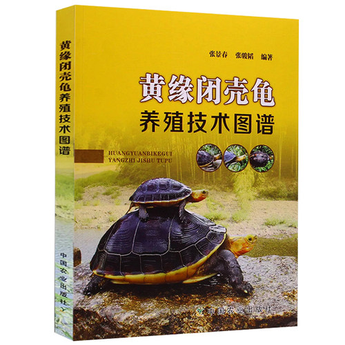 黄缘闭壳龟养殖技术图谱