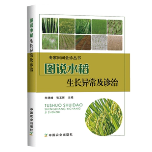 图说水稻生长异常及诊治 水稻高产种植书籍水稻栽培种植技术 大米高效栽培种植科学种植农作物水稻生产技术 杂交水稻制种技术书籍