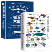 书籍鱼缸观赏鱼养殖 图解观赏鱼鉴赏大全选鱼饲养图典海底生物彩色图鉴正版 热带鱼饲养指南品种鉴别 海水鱼大图鉴 观赏鱼完全图鉴