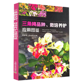 三角梅品种栽培养护应用图鉴 三角梅光叶子花和叶子花园艺养护栽培与鉴赏观花盆景观花植物栽培百科图鉴书籍