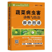 蔬菜病虫害诊断与防治原色图谱 蔬菜种植书籍农作物病虫害快速诊黄瓜番茄南瓜病虫害防治及安全用药蔬菜种植技术蔬菜生产技术全书