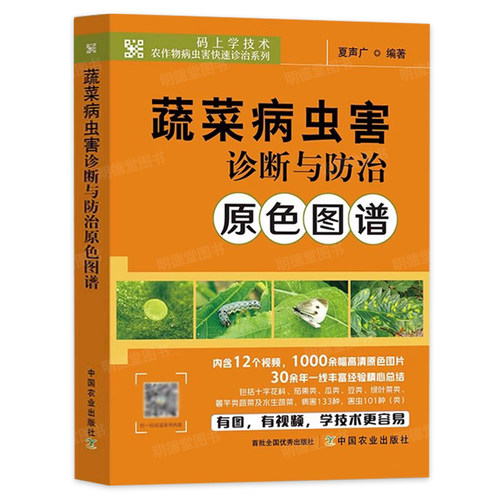 蔬菜病虫害诊断与防治原色图谱 蔬菜种植书籍农作物病虫害快速诊黄瓜番茄南瓜病虫害防治及安全用药蔬菜种植技术蔬菜生产技术全书