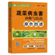 蔬菜病虫害诊断与防治原色图谱 蔬菜种植书籍农作物病虫害快速诊黄瓜番茄南瓜病虫害防治及安全用药蔬菜种植技术蔬菜生产技术全书