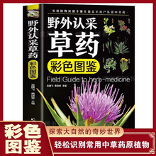 野外认采草药彩色图鉴 高清彩图中草药鉴别与应用实用草药大全植物野外识别手册中华汉方快速认药图谱精编中草药学草药材入门书籍