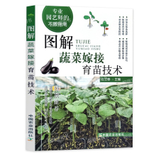 图解蔬菜嫁接育苗技术茄子西瓜番茄黄瓜等蔬菜嫁接栽培种植书籍大全大棚蔬菜无土栽培种植有机蔬菜反季节栽实用培技术农药施肥手册
