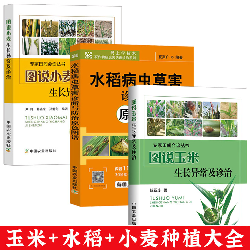 中国农业书籍3册 图说玉水稻小麦米生长异常及诊治农业种植技术大全高效栽培病虫害防治与诊断农药知识农作物现代大棚蔬菜作物育种