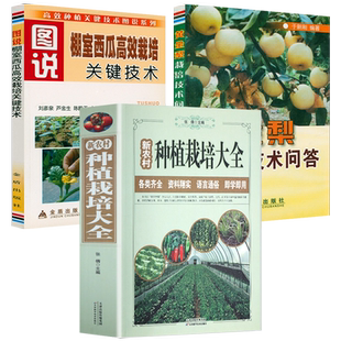 新农村蔬菜种植栽培大全棚室西瓜梨高效栽培效益关键技术黄瓜辣椒茄子番茄韭菜大葱大白菜马铃薯蔬菜种植病虫害大全塑料大棚蔬菜书
